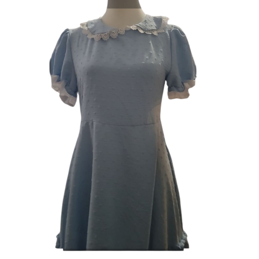 Elegant Blue Dress with White Accents - Picture 9 of 9